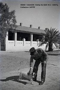 ORAN 1937 CAMP DU 66 EME RA A ECKMUHL   (3)